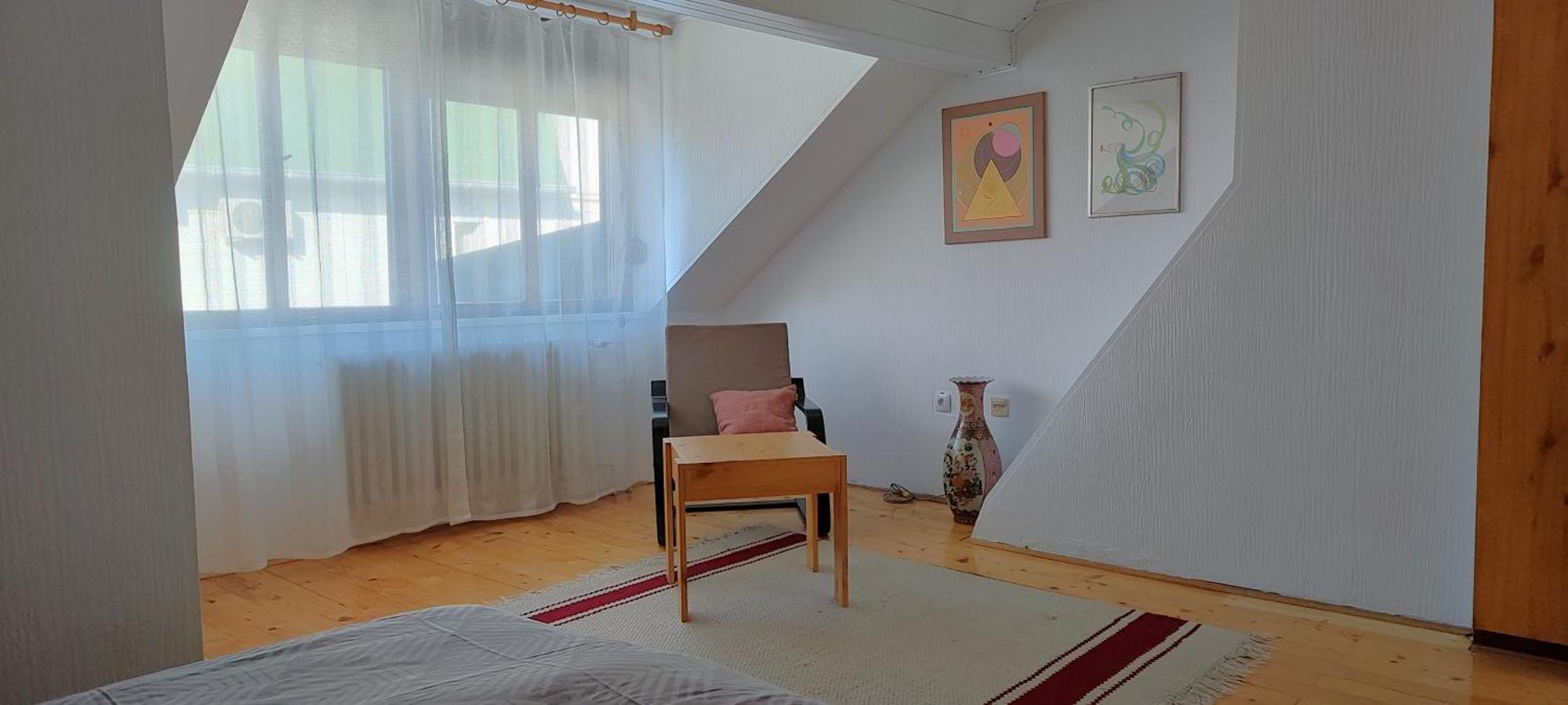Apartment Ivan Novi Sad